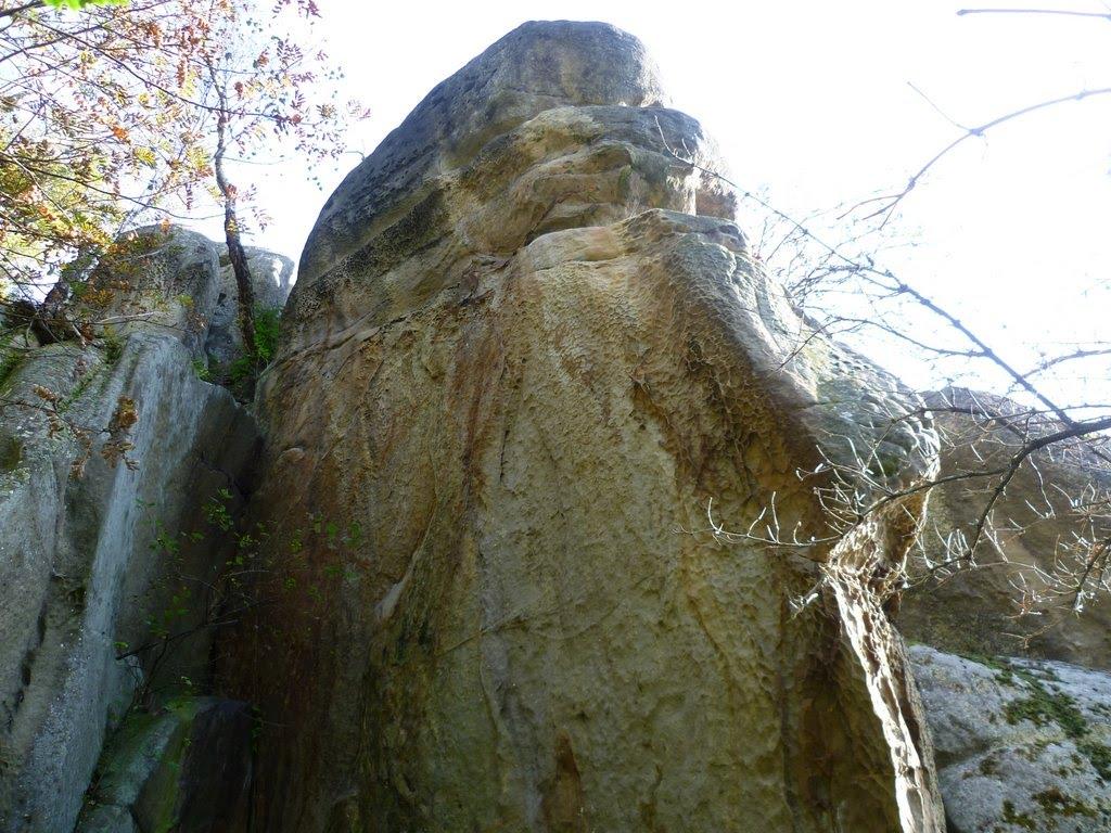 Верхнє Синьовидне з panoramio.com - Верхнє Синьовидне