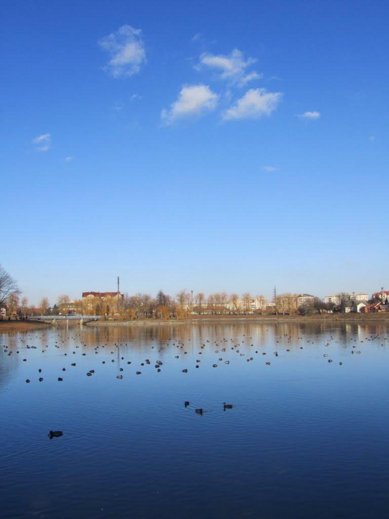 Коломия з panoramio.com - Коломыя
