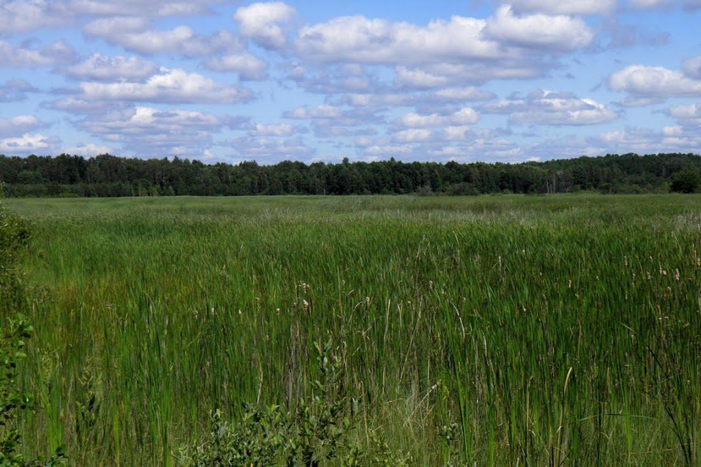Маневичі з panoramio.com - Маневичі