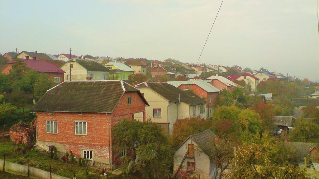 Бережани з panoramio.com - Berezhany