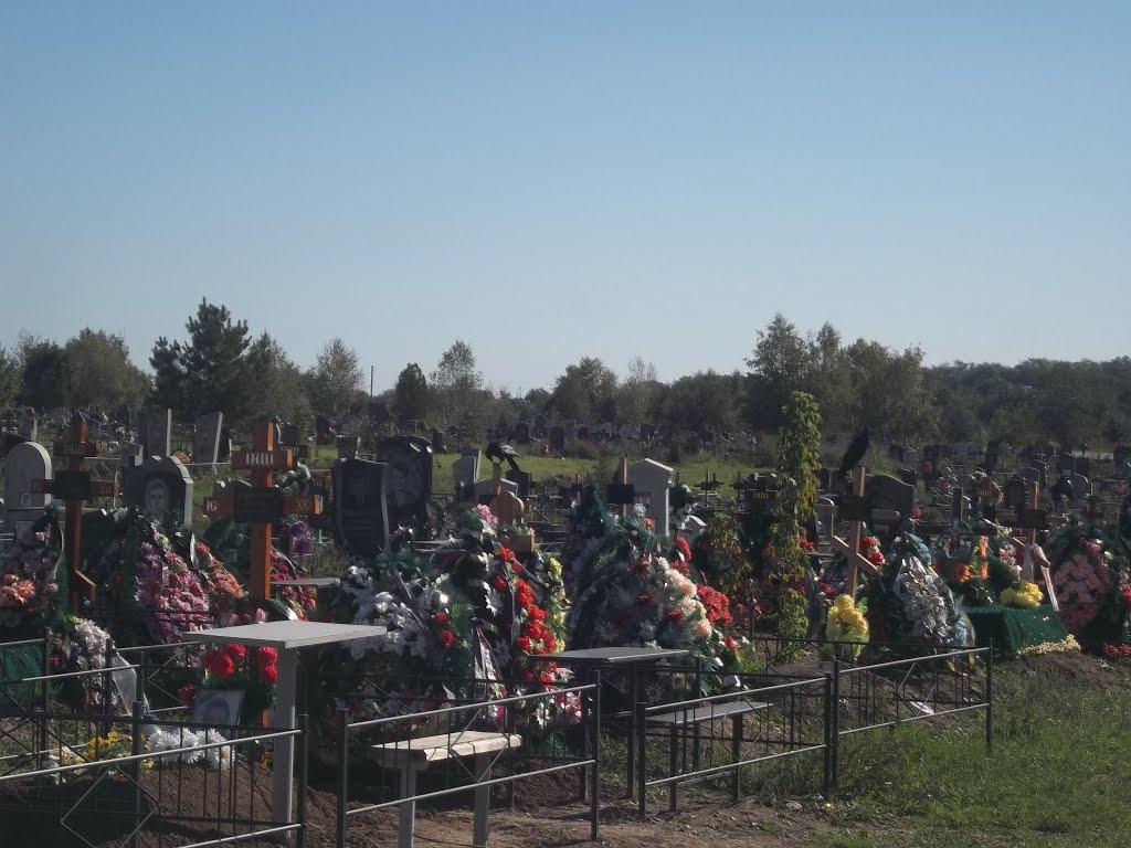 Матвіївка з panoramio.com - Матвіївка