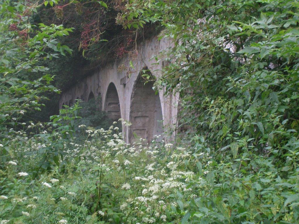 Нижанковичі з panoramio.com (ч.2) - Нижанковичи