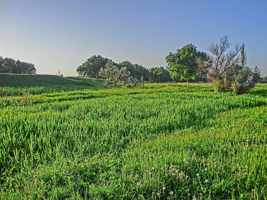 Олександрія з panoramio.com (ч.3) - Олександрія