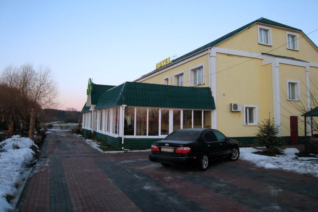 Борщів з panoramio.com - Борщев