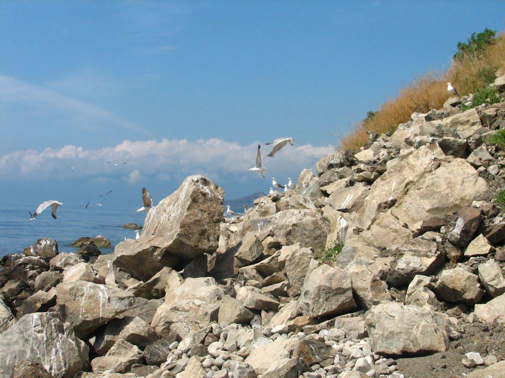 Рибаче з panoramio.com (ч.2) - Rybache