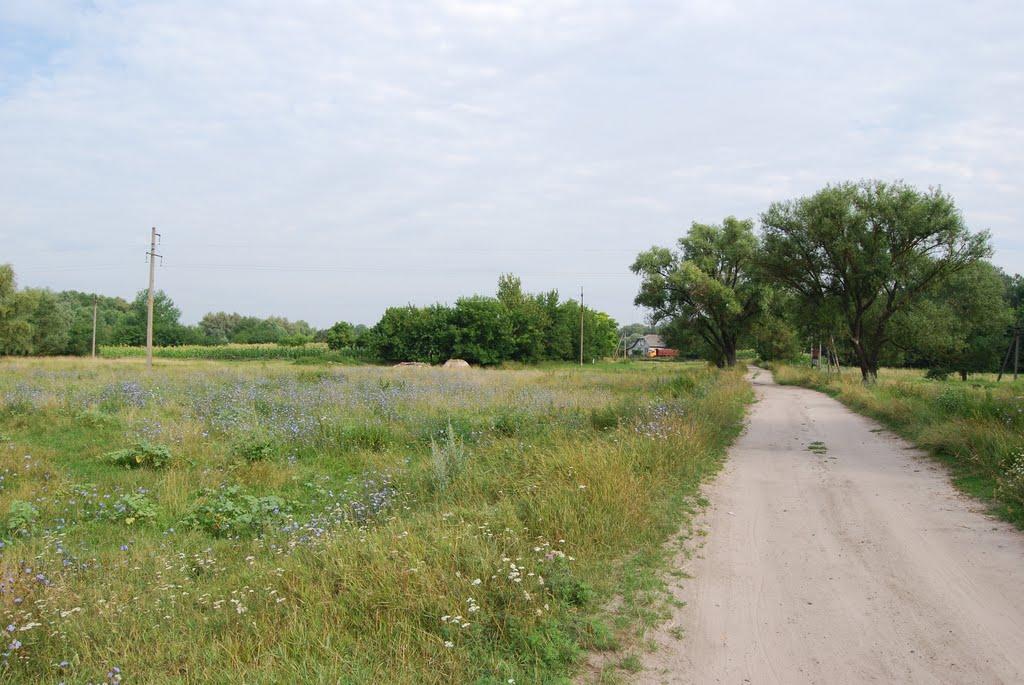 Хорішки з panoramio.com - Хорошки