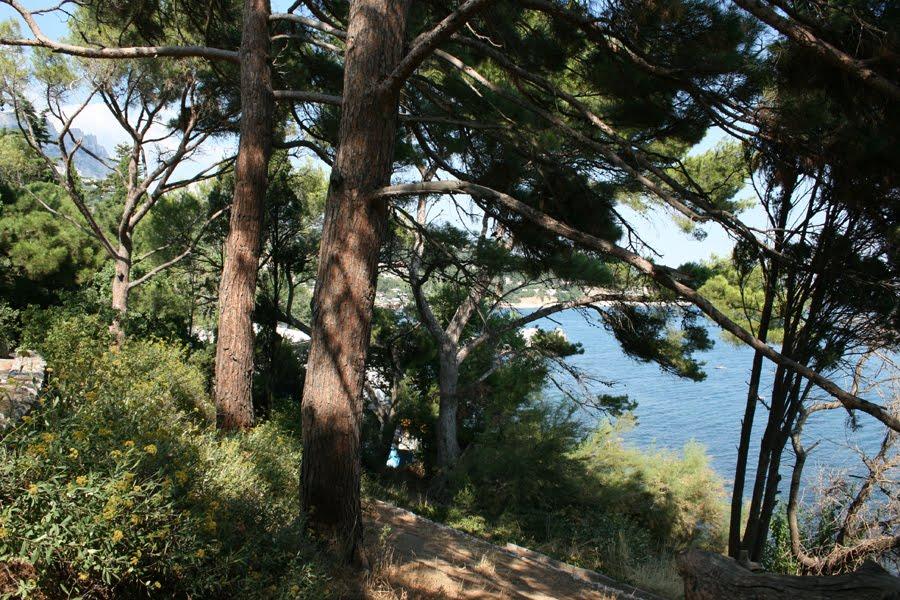 Сімеїз з panoramio.com (ч.2) - Симеиз