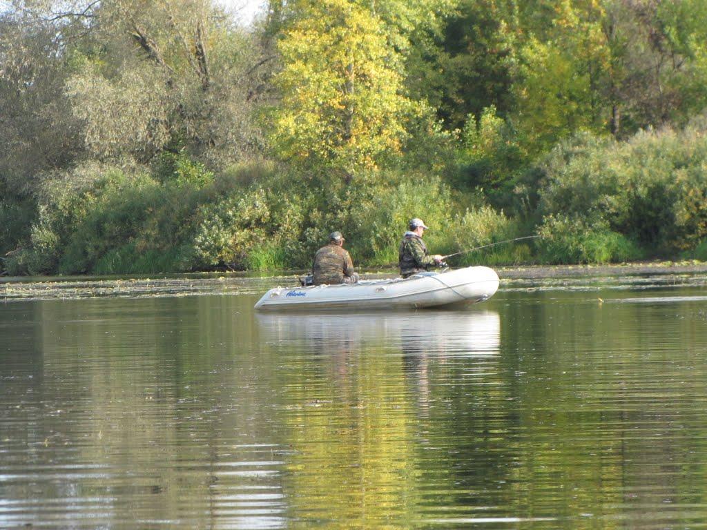 Миси з panoramio.com - Миси