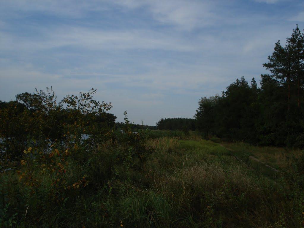 Новомосковськ з panoramio.com (ч.3) - Новомосковск