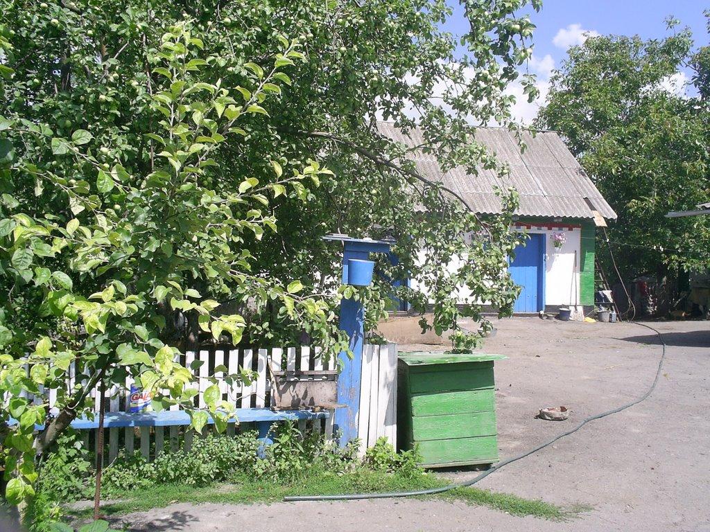 Бикова Гребля з panoramio.com - Быковая Гребля