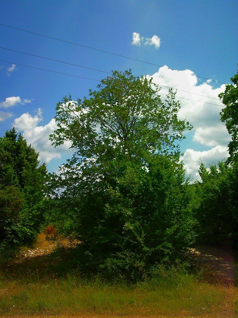 Тернівка з panoramio.com (ч.3) - Тернівка