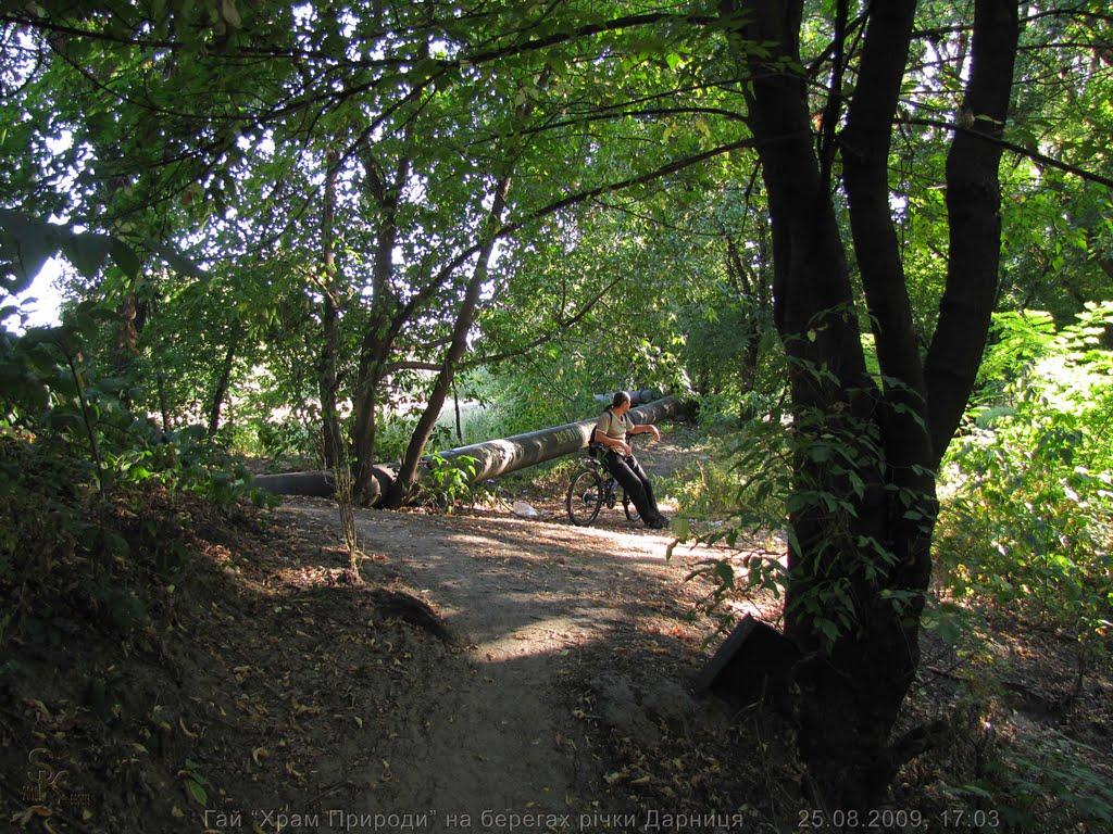 Гнідин з panoramio.com (ч.3) - Gnidyn