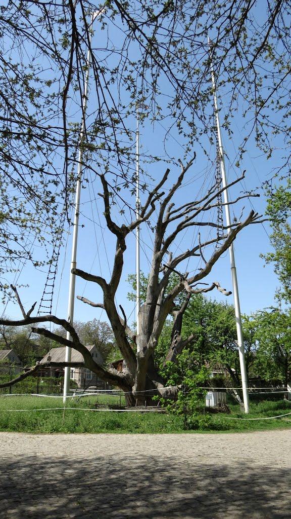 Високогірне з panoramio.com - Високогірне