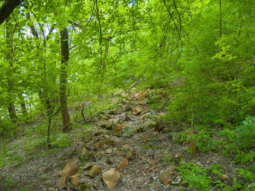 Станично-Луганське з panoramio.com (ч.2) - Станично-Луганское