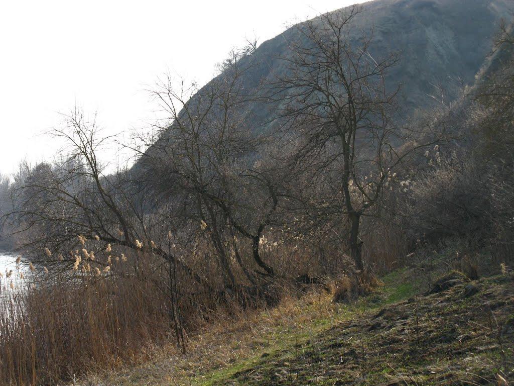 Задонецьке з panoramio.com - Задонецьке