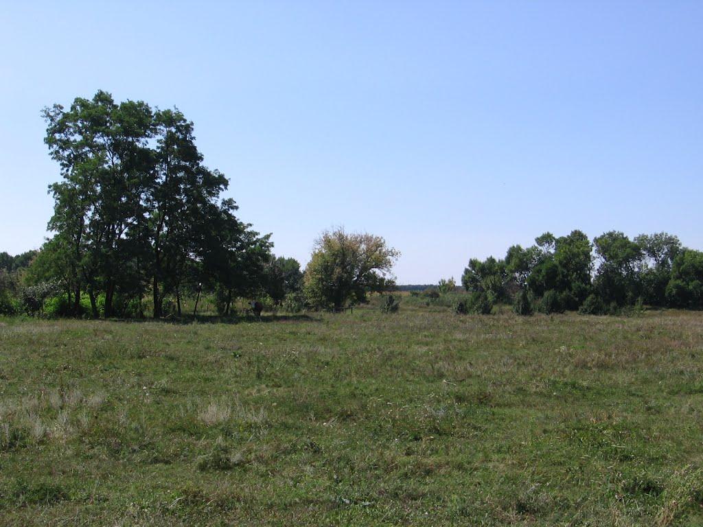 Жовтневий Промінь з panoramio.com - Жовтневий Промінь