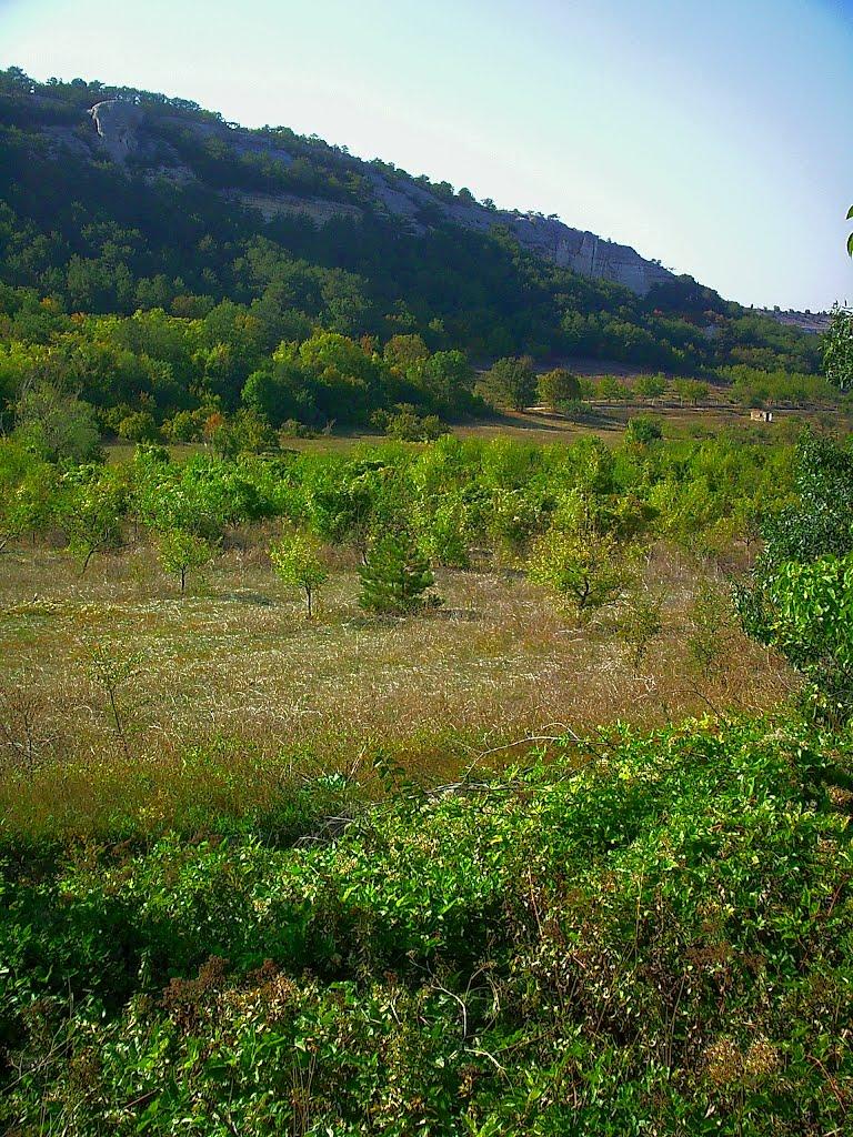 Залісне з panoramio.com (ч.2) - Залісне