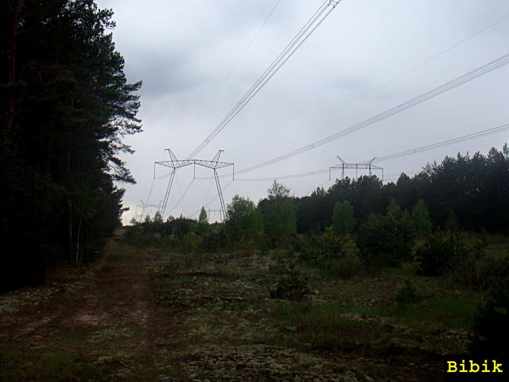 Чорнобиль з panoramio.com (ч.2) - Чернобыль