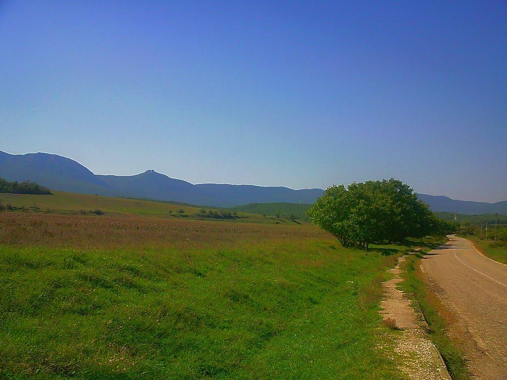 Плотинне з panoramio.com - Plotynne