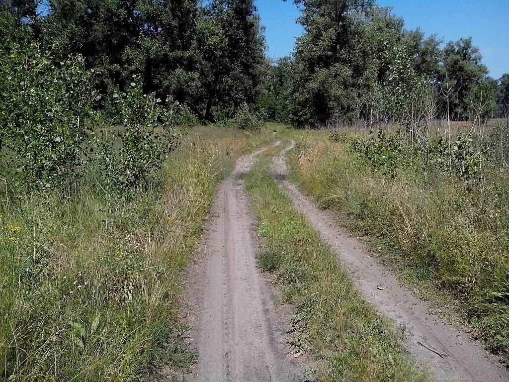 Говтва з panoramio.com - Говтва