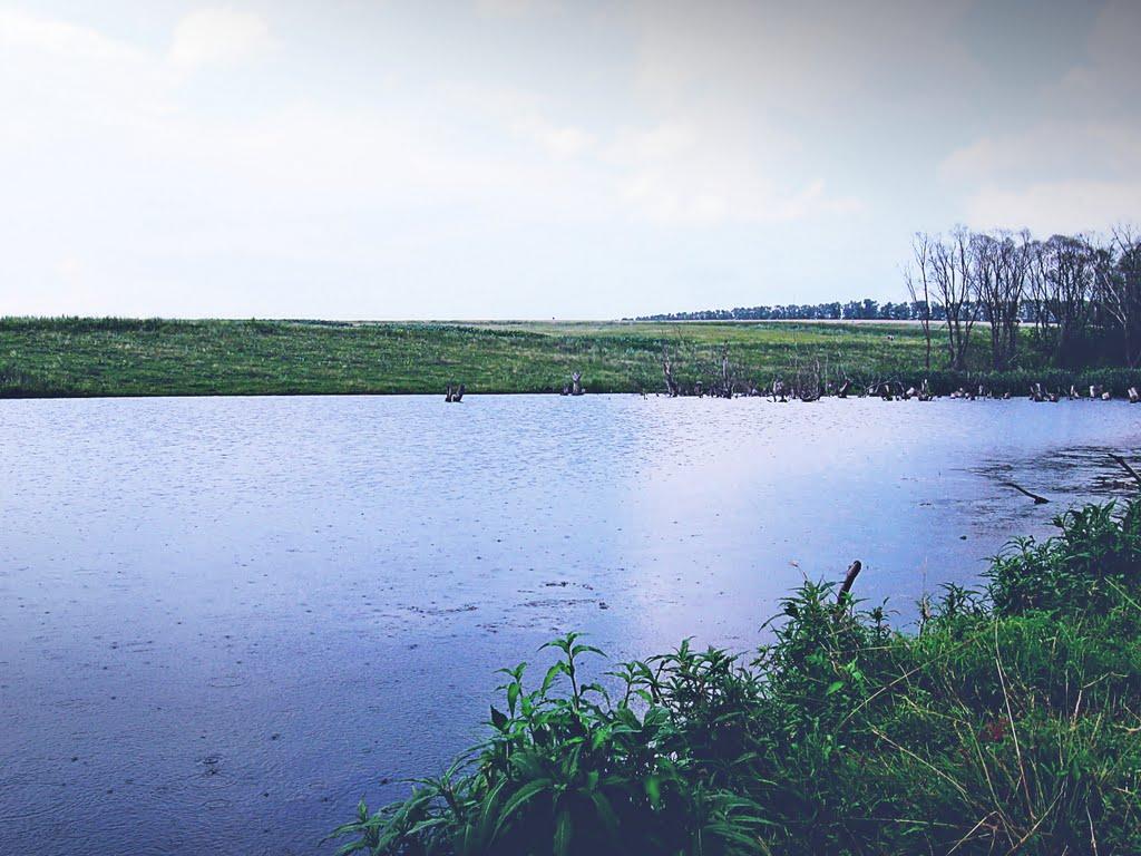 Стрілеча з panoramio.com - Стрелечья