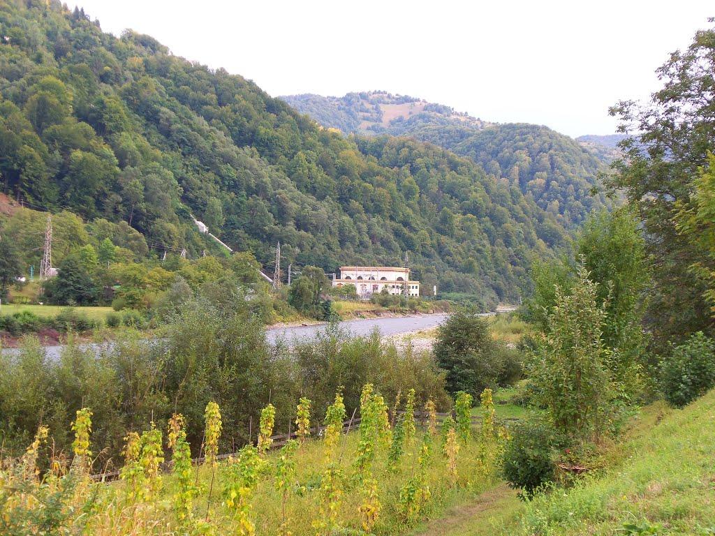 Противень з panoramio.com - Противень