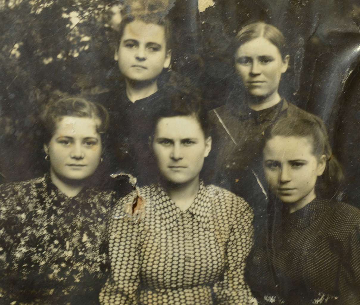 Сокиринцы, история, природа, люди. - Сокиринцы
