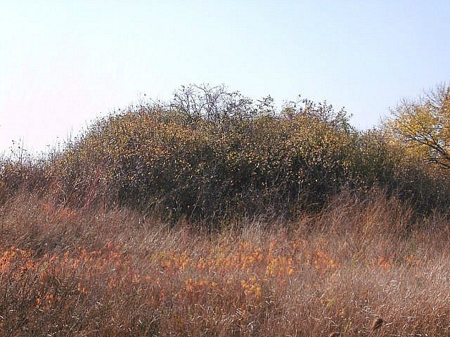 2011 год - Луначарське