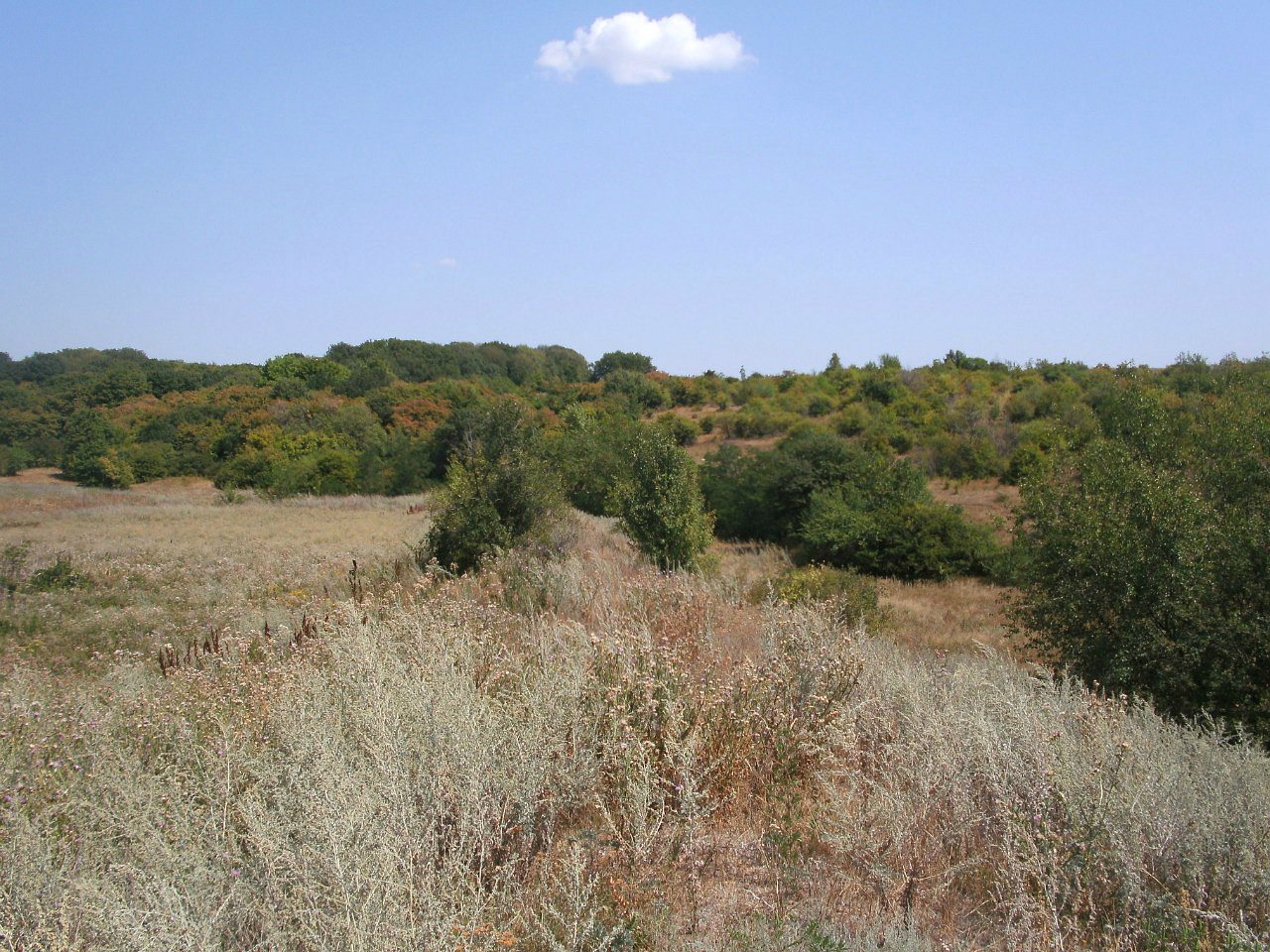 2011 год - Золотий Колодязь