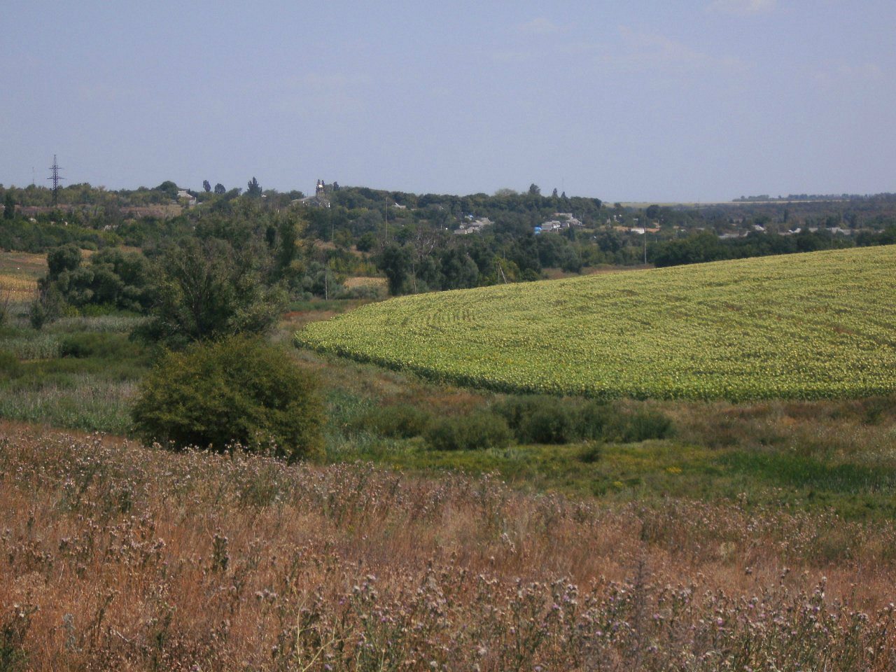 2011 год - Золотой Колодезь