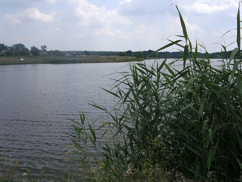 2011 год - Степанівка