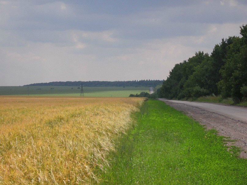 2011 год - Степанівка