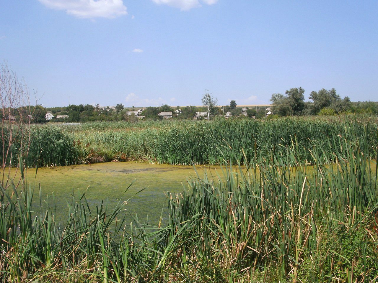 2011 год - Золотой Колодезь