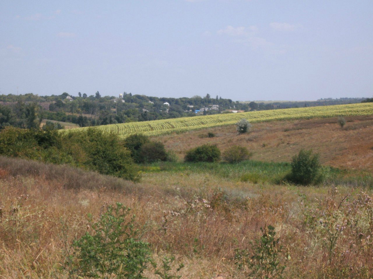 2011 год - Золотой Колодезь