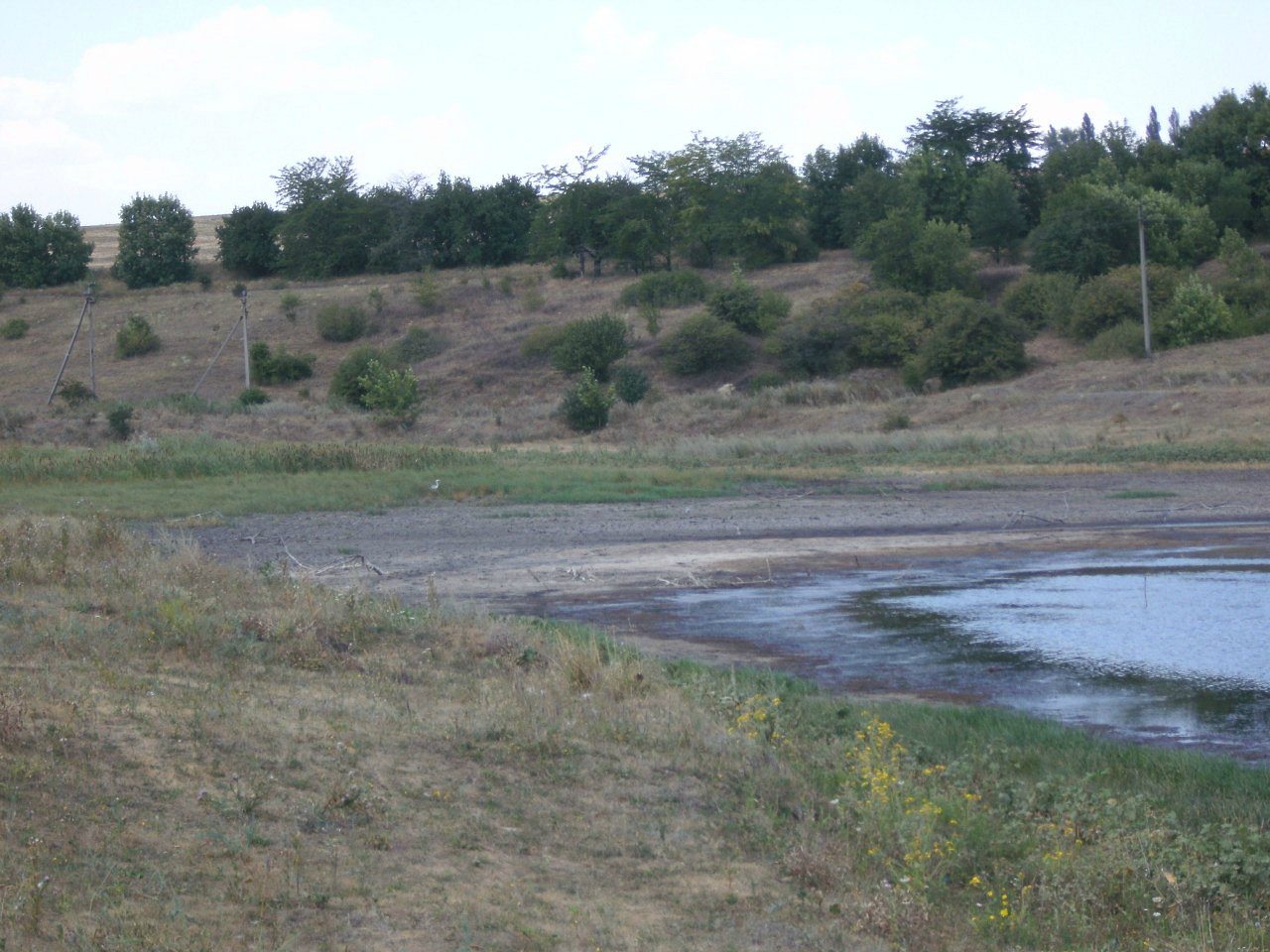 2011 год - Золотой Колодезь