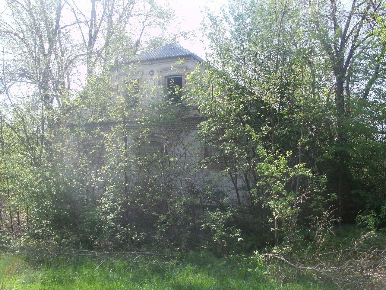 2011 год - Вірівка