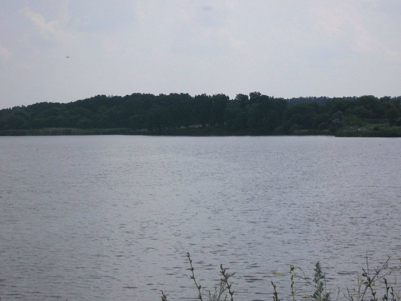 2011 год - Степанівка