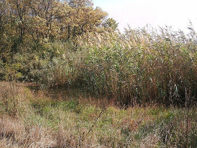 2011 год - Сухецьке