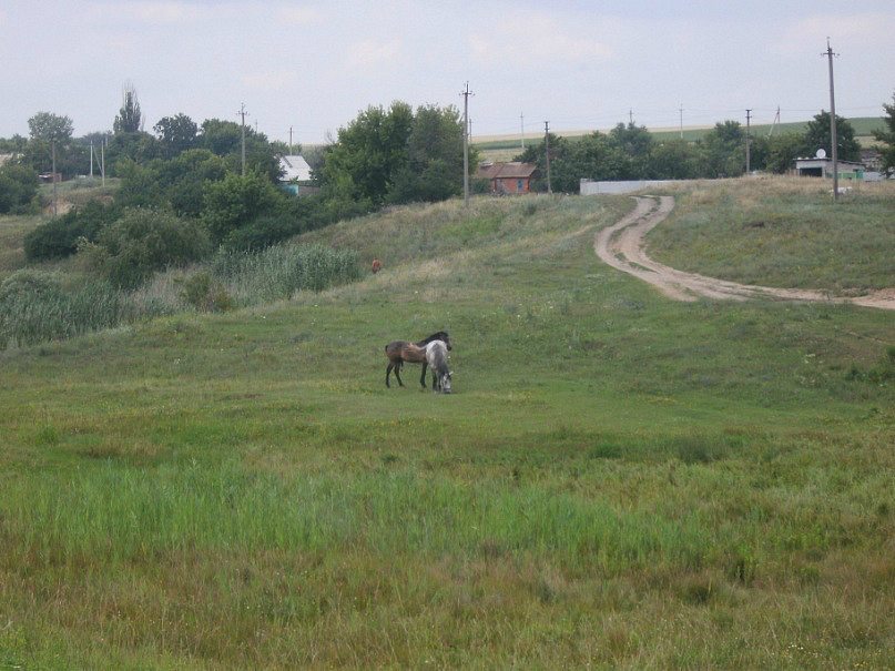 2011 год - Степановка