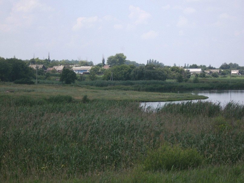 2011 год - Степанівка