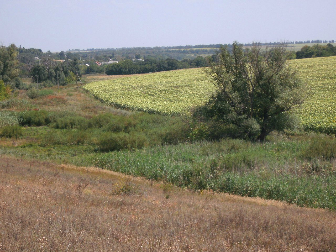 2011 год - Золотой Колодезь