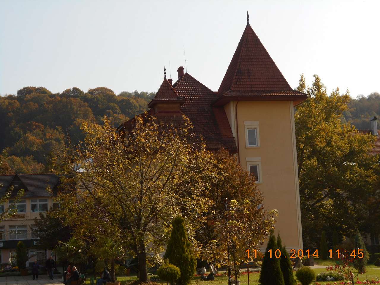 'Сонячна Поляна' у Поляні - Поляна