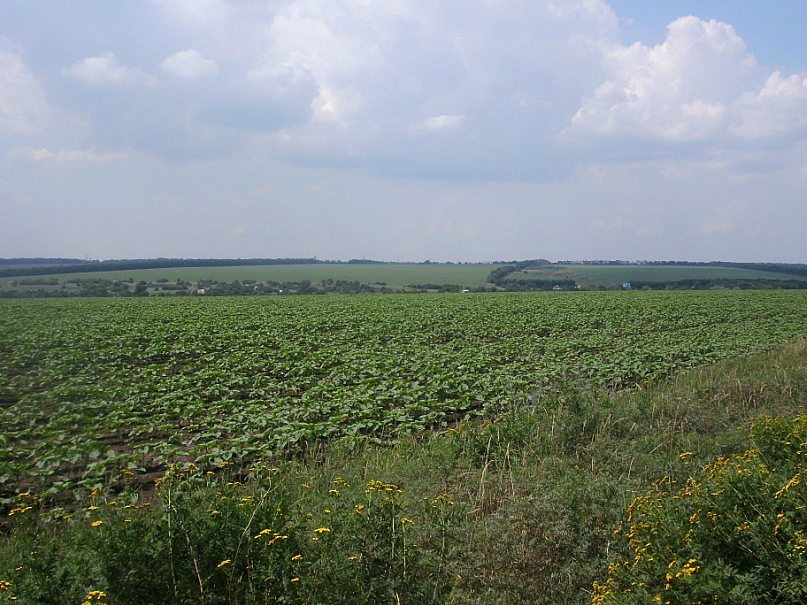 2011 год - Урицьке