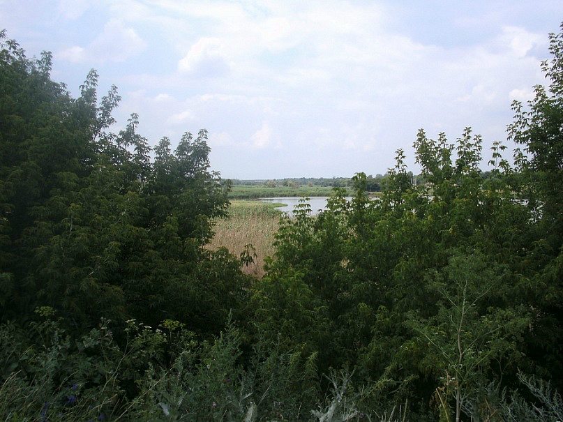 2011 год - Степанівка