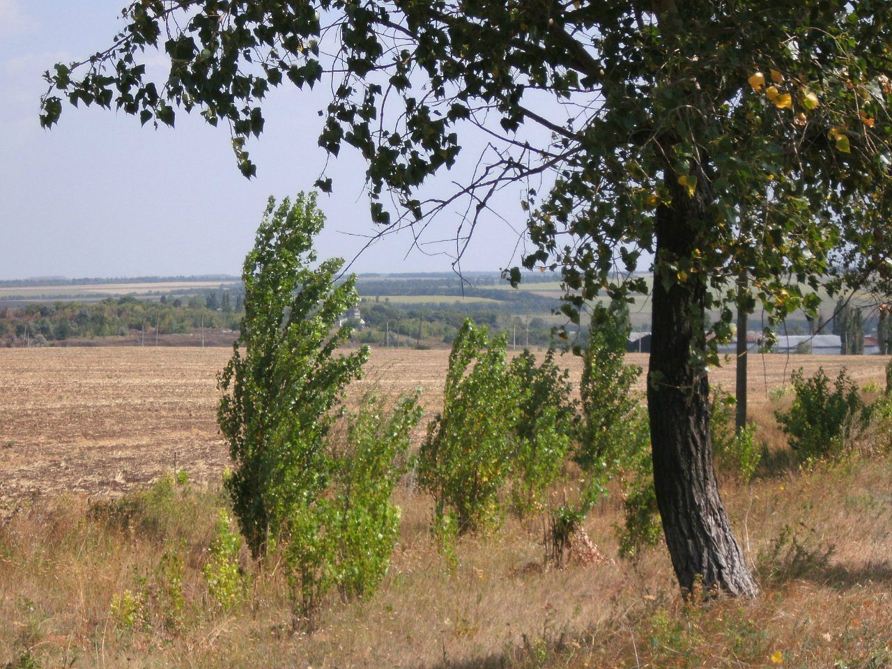 2011 год - Золотой Колодезь