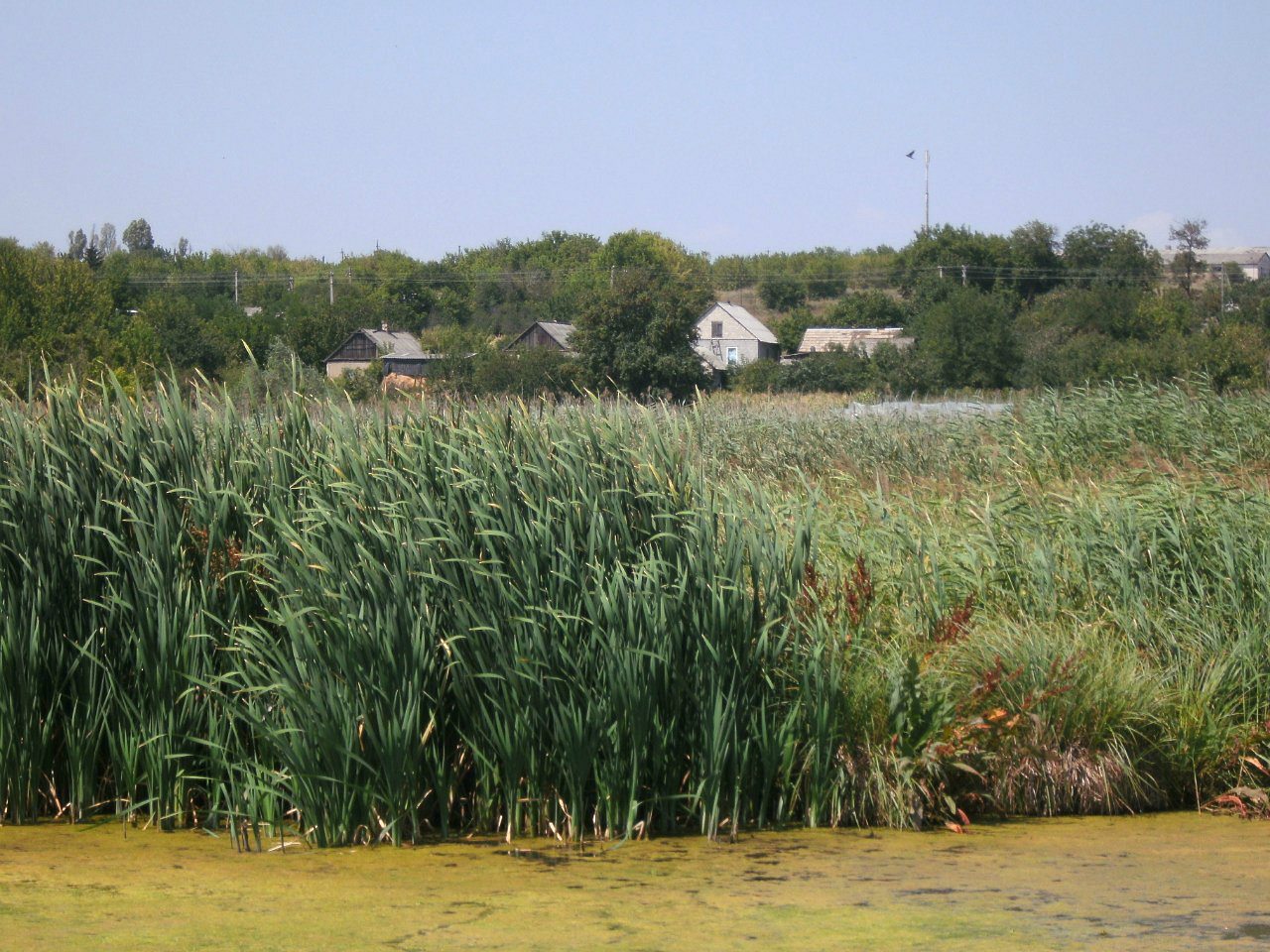 2011 год - Золотой Колодезь