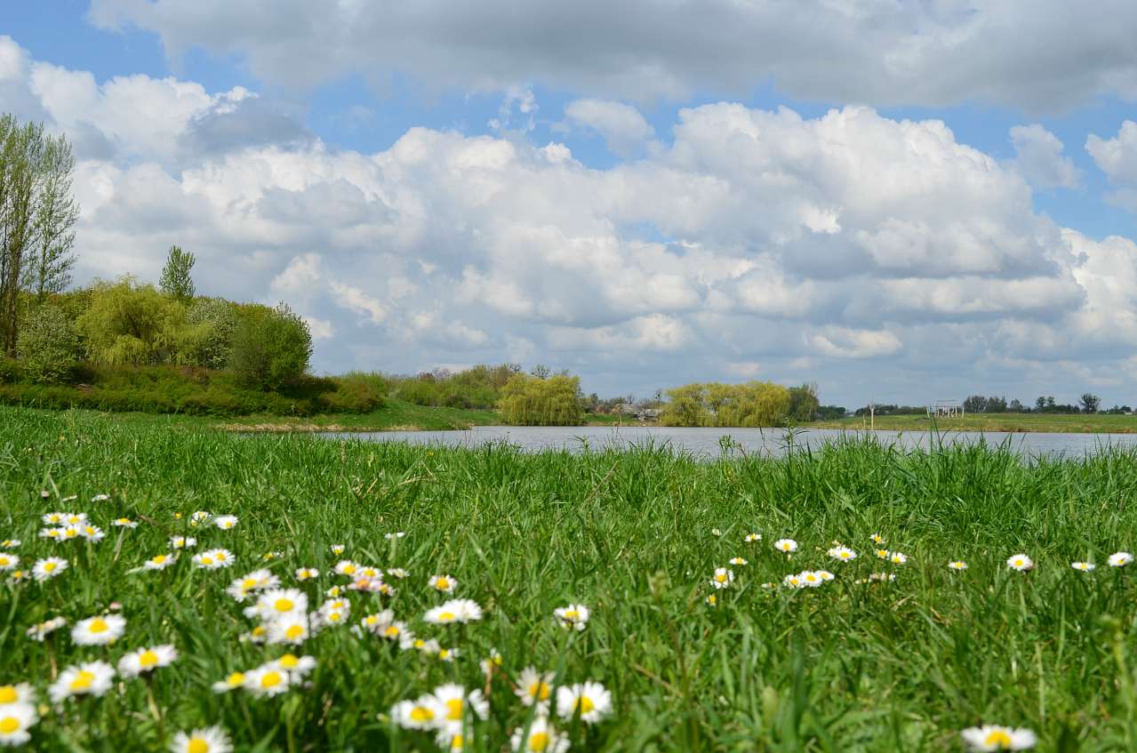 Краса Буянь - Буяни