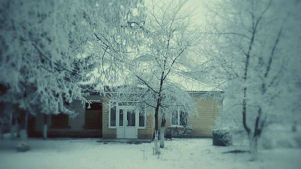 Спогади про сніжну зиму... - Витачів