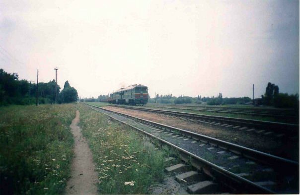 2011 год - Родинське