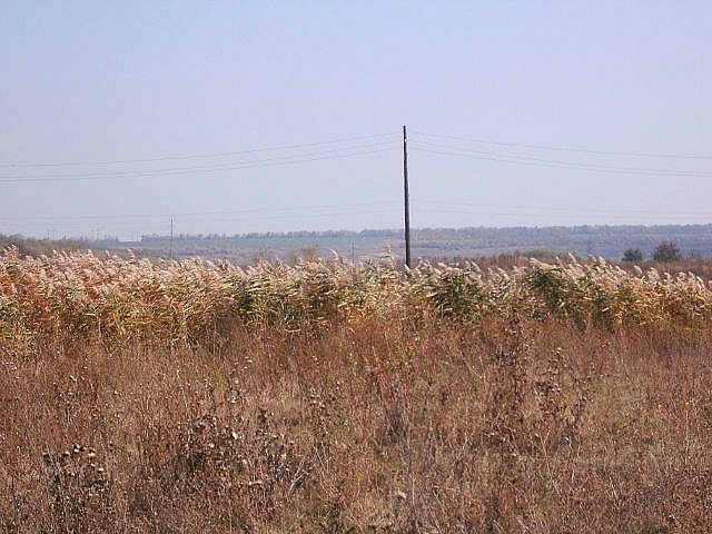 2011 год - Луначарское